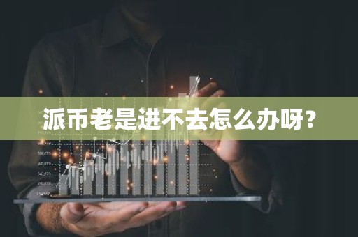 派币老是进不去怎么办呀？