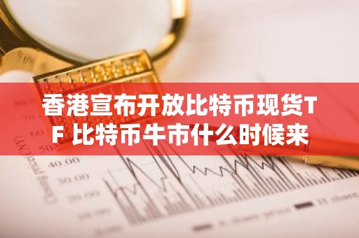 香港宣布开放比特币现货TF 比特币牛市什么时候来
