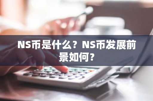 NS币是什么？NS币发展前景如何？