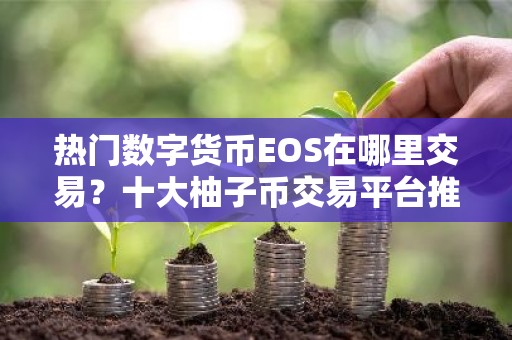 热门数字货币EOS在哪里交易？十大柚子币交易平台推荐