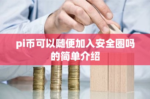 pi币可以随便加入安全圈吗的简单介绍