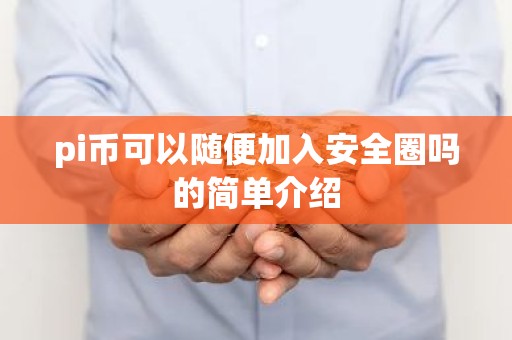 pi币可以随便加入安全圈吗的简单介绍
