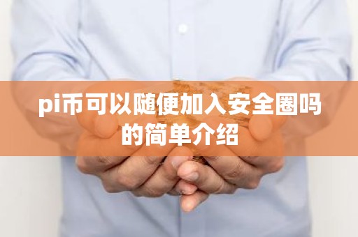 pi币可以随便加入安全圈吗的简单介绍