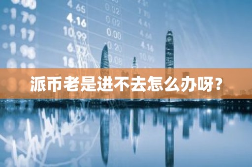 派币老是进不去怎么办呀？