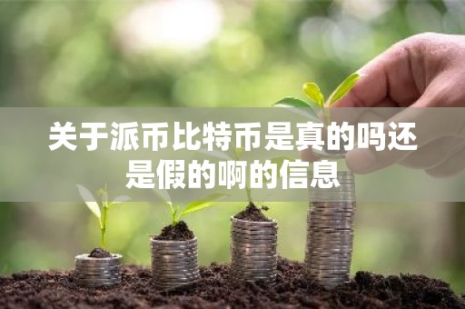 关于派币比特币是真的吗还是假的啊的信息