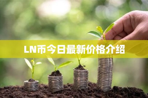 LN币今日最新价格介绍