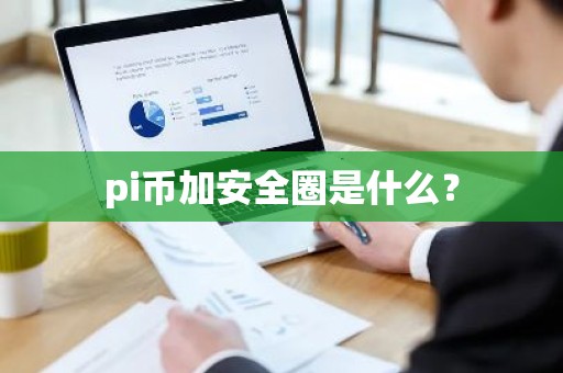 pi币加安全圈是什么？