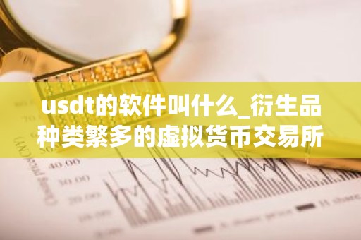 usdt的软件叫什么_衍生品种类繁多的虚拟货币交易所排行
