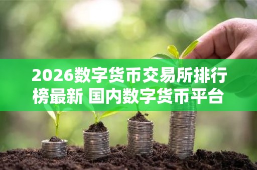 2026数字货币交易所排行榜最新 国内数字货币平台推荐