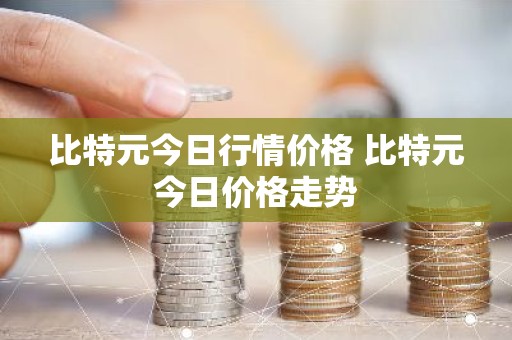 比特元今日行情价格 比特元今日价格走势
