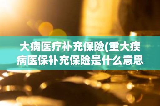 大病医疗补充保险(重大疾病医保补充保险是什么意思？)