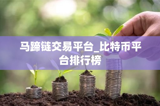 马蹄链交易平台_比特币平台排行榜