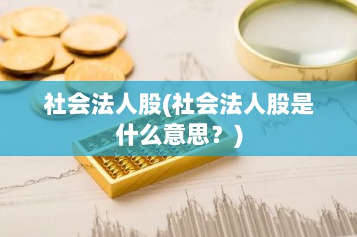 社会法人股(社会法人股是什么意思？)