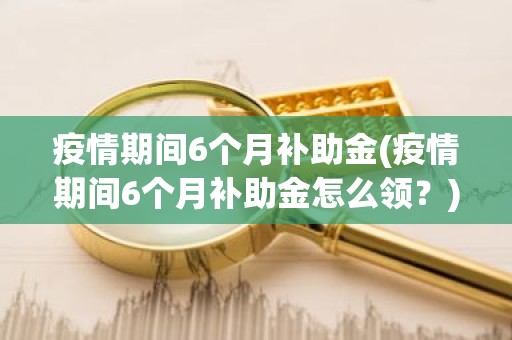 疫情期间6个月补助金(疫情期间6个月补助金怎么领？)