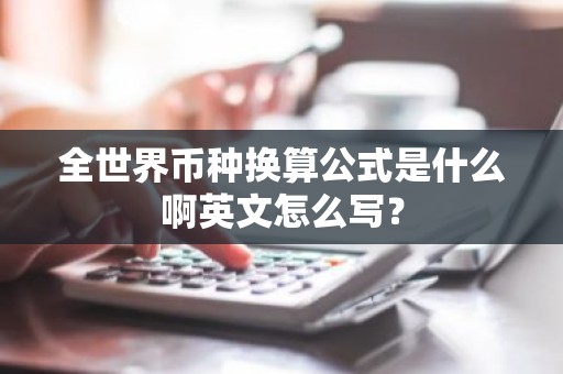 全世界币种换算公式是什么啊英文怎么写？