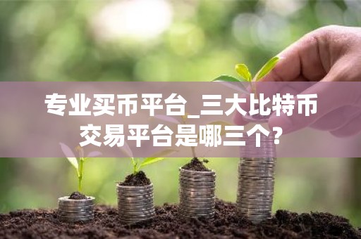 专业买币平台_三大比特币交易平台是哪三个？