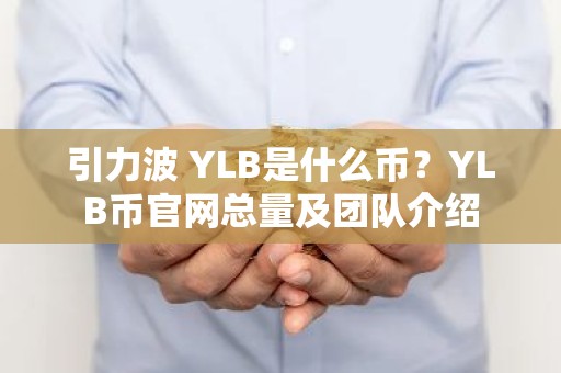 引力波 YLB是什么币？YLB币官网总量及团队介绍