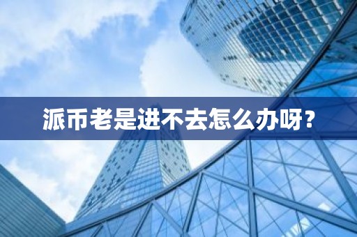 派币老是进不去怎么办呀？