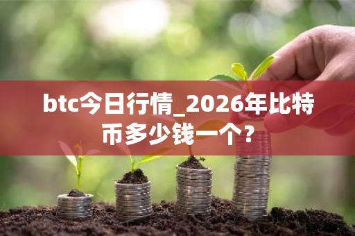 btc今日行情_2026年比特币多少钱一个？