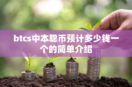btcs中本聪币预计多少钱一个的简单介绍
