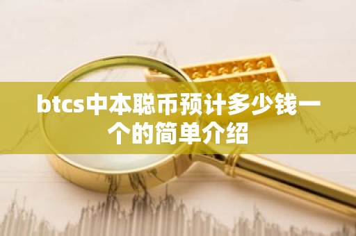 btcs中本聪币预计多少钱一个的简单介绍