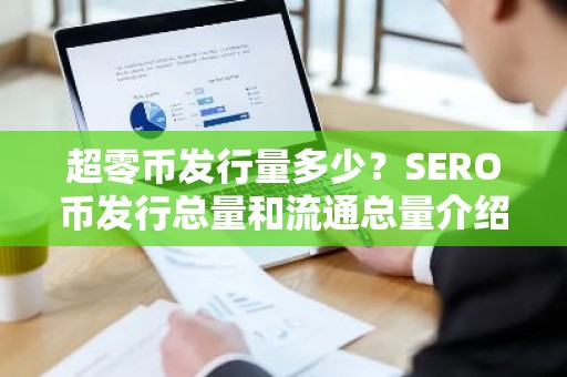 超零币发行量多少？SERO币发行总量和流通总量介绍