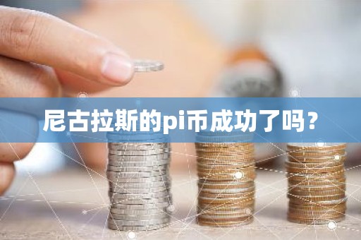尼古拉斯的pi币成功了吗？