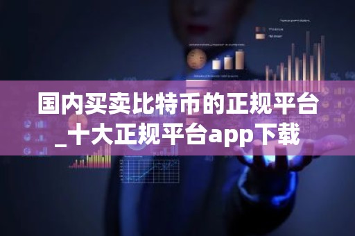 国内买卖比特币的正规平台_十大正规平台app下载