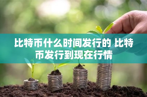 比特币什么时间发行的 比特币发行到现在行情