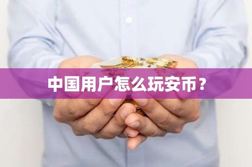 中国用户怎么玩安币？