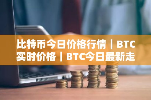 比特币今日价格行情｜BTC实时价格｜BTC今日最新走势