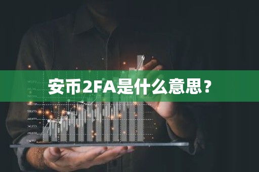 安币2FA是什么意思？