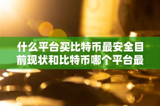 什么平台买比特币最安全目前现状和比特币哪个平台最安全详细介绍
