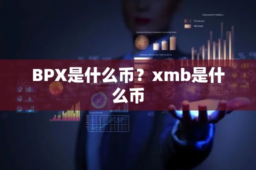 BPX是什么币？xmb是什么币