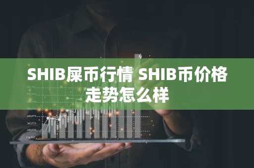 SHIB屎币行情 SHIB币价格走势怎么样