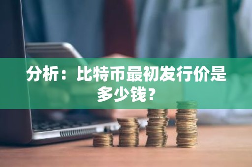 分析：比特币最初发行价是多少钱？
