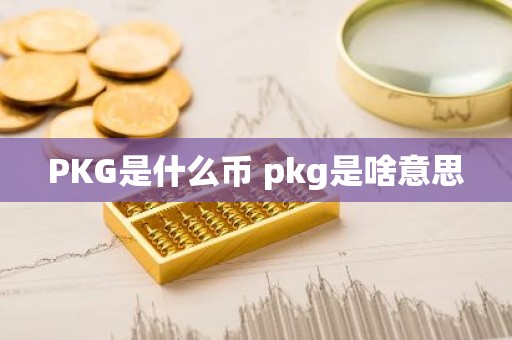 PKG是什么币 pkg是啥意思
