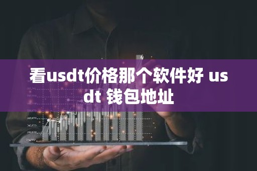 看usdt价格那个软件好 usdt 钱包地址