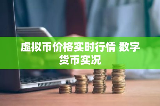 虚拟币价格实时行情 数字货币实况