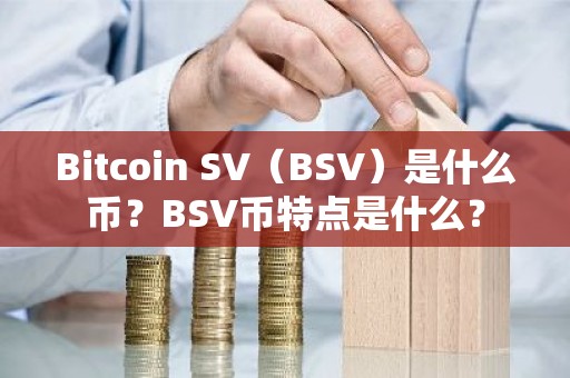 Bitcoin SV（BSV）是什么币？BSV币特点是什么？