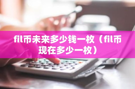fil币未来多少钱一枚（fil币现在多少一枚）