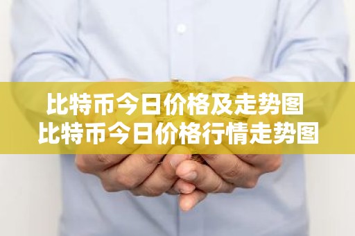 比特币今日价格及走势图 比特币今日价格行情走势图