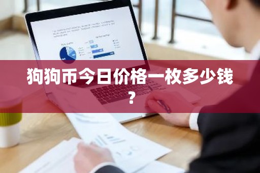 狗狗币今日价格一枚多少钱？