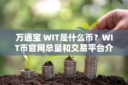 万通宝 WIT是什么币？WIT币官网总量和交易平台介绍