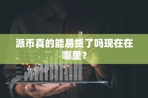 派币真的能易货了吗现在在哪里？