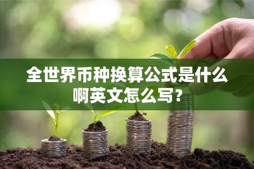 全世界币种换算公式是什么啊英文怎么写？