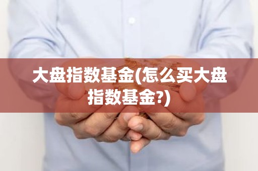 大盘指数基金(怎么买大盘指数基金?)