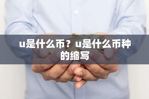 u是什么币？u是什么币种的缩写