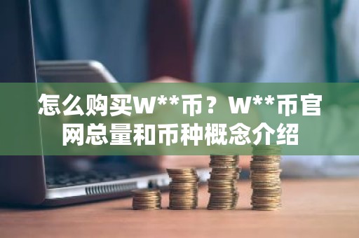 怎么购买W**币？W**币官网总量和币种概念介绍