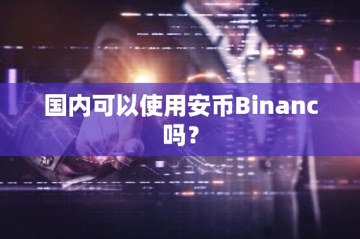 国内可以使用安币Binanc吗？